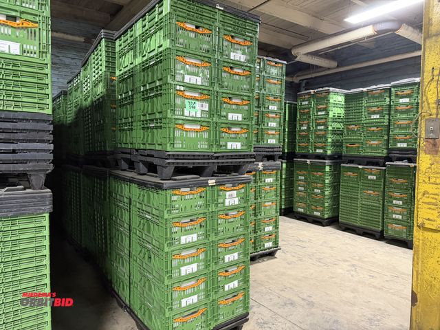 Lot 1-17449 - Lot of approx. (316) Cleverbox 23" x 7" x 16" collapsible plastic totes, some filled with Styrofoam ...