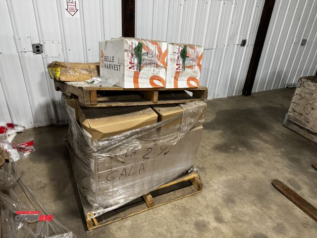 Lot 1-6782 - (1) skid of assorted apple bags, includes (23) 3 lb. Gala bag boxes (2000 bags per box), and (3) box...