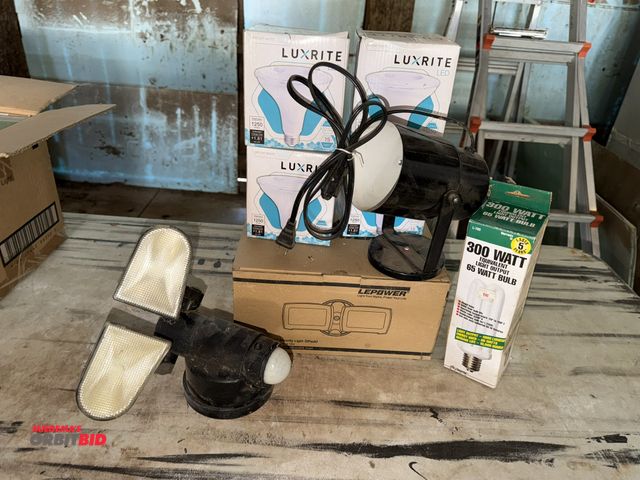 Lot 1-8355 - Lot including (4) Luxrite LED, 1250 lumens spot light bulbs, (1) wall mounted spot light, (1) 300 wa...