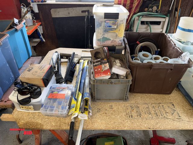 Lot 1-12124 - Large lot of assorted items, includes various automotive bulbs, wipers, snow brushes, glasses, goggl...