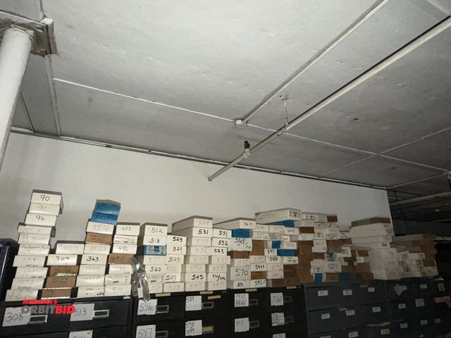 Lot 1-4775 - Large lot of assorted Freeman medical braces, includes men's dorsal lumbar, female dorsal lumbar, ca...