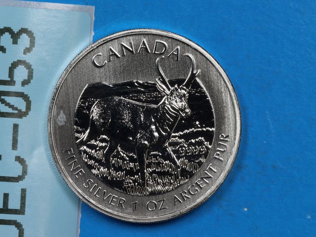 Lot 108-053 - 1oz FINE SILVER CANADA 2013 PRONGHORN ANTELOPE RCM WILDLIFE SERIES