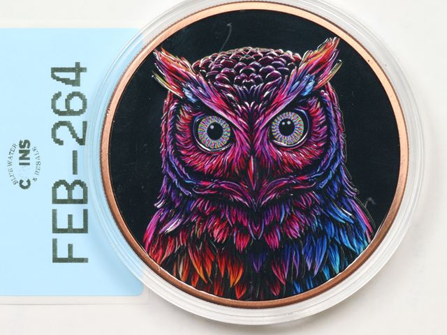 Lot 108-264 - 5oz 999 COPPER ROUND OWL GLOW IN THE DARK COLORIZED IN CAPSULE