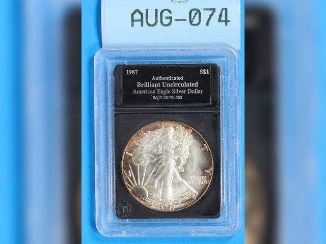 Lot 108-074 - 1987 AMERICAN EAGLE SILVER DOLLAR $1 IN PLASTIC SLAB BRADFORD EXCHANGE SILVER EARLY U.S. DOLLAR