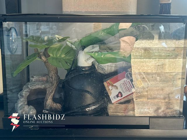 Lot 109-22-000603 - Complete Reptile Habitat Setup – Moss, Decor, Heat Lamp &amp; Tank