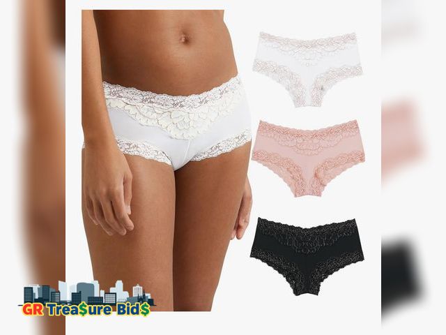 Lot 111-73433 - New Maidenform Cheeky, Lace Hipster Panties, Sexy Underwear for Women, 3-Pack
