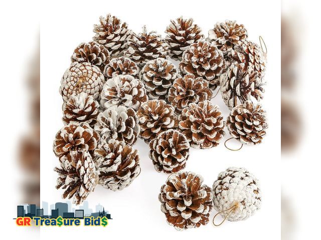 Lot 111-23591 - JOHOUSE 24PCS Natural White Pine Cones for Winter and Christmas Decor, Winter Vase Filler