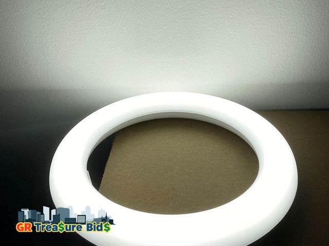 Lot 111-15296 - 12 pack New - - LED T9 Circline Light Bulb,  Circular Bulb FC8T9/DL, 8 Inch T9 22W Circline Fluoresc...