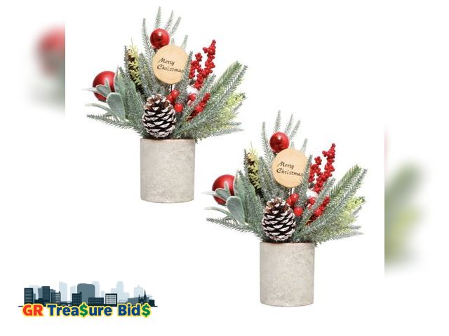 Lot 111-97170 - 2 Pack Small Christmas Trees, 13.8'' Tall Tabletop Mini Christmas Tree Decorations with Ornaments Pi...
