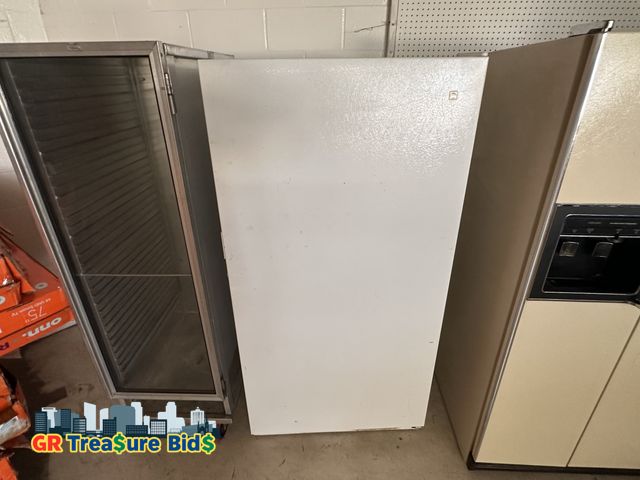 Lot 111-5627 - GE® 16.7 Cu. Ft. Frost-Free Upright Freezer