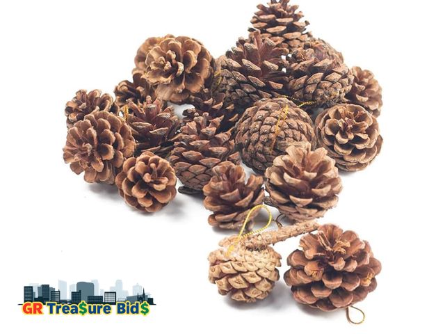 Lot 111-2 - JOHOUSE 18PCS Hanging Natural Pine Cones (1.5"–2.5"), Rustic Pinecones with Strings for Fall Garland...