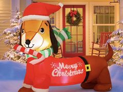 Lot 111-73036 - undefined