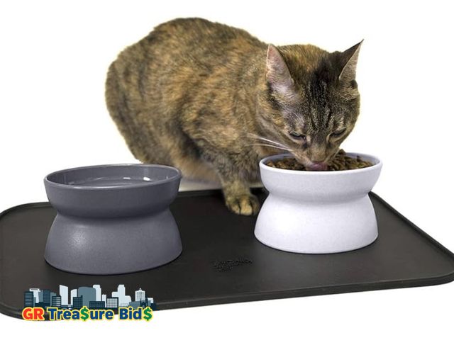 Lot 111-91315 - New Kitty City Raised Cat Bowls, Small Bowl 2pk (Modern)