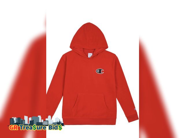 Lot 111-51150 - New Champion boys Graphic Hoodie Pullover Sweatshirt for Kids With Stylish Embellishments
 Size Larg...