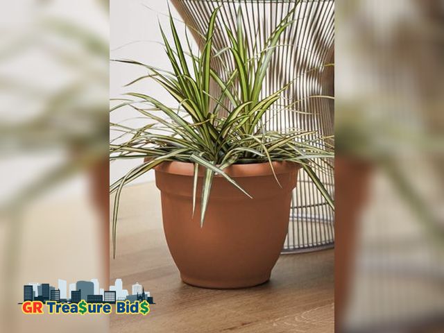 Lot 111-52323 - Bloem Fiskars 14 Inch Ariana Planter with Self-Watering Grid, Color Clay