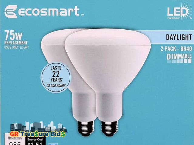 Lot 111-56539 - EcoSmart 75-Watt Equivalent BR40 Dimmable Energy Star LED Light Bulb Daylight (2-Pack)