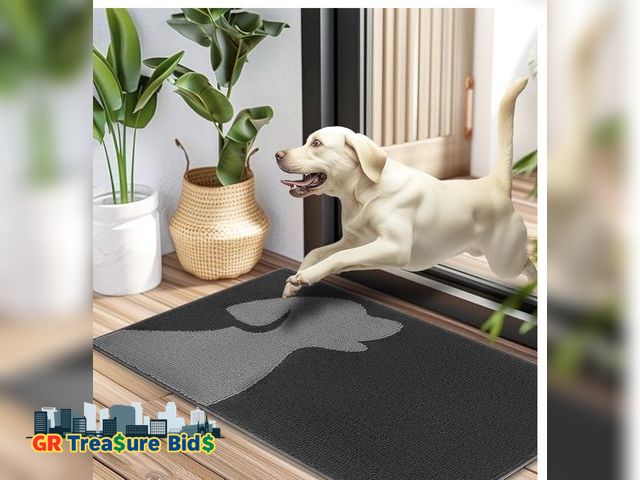 Lot 111-51500 - Door Mat Indoor, Welcome Front Door Mats Non Slip Entrance Mat, Absorbent Resist Dirt Entryway Rug, ...