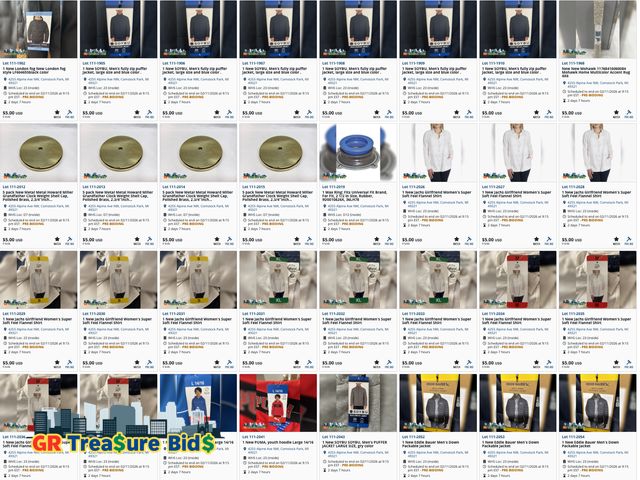 Feb 11th | Grand Rapids, MI AUTOMOBILES, HOME APPLIANCES, HOME GOODS, ELECTRONICS, TOOLS & HOLIDAY ITEMS