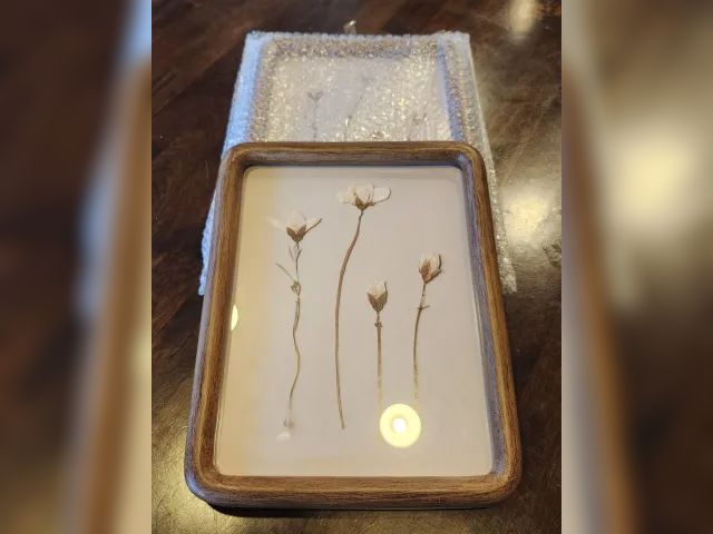 Lot 112-0193-22D - Hearth &amp; Hand with Magnolia 8"×10" Pressed White Flowers underglass Wall Art. Set of 2 Frames. N...