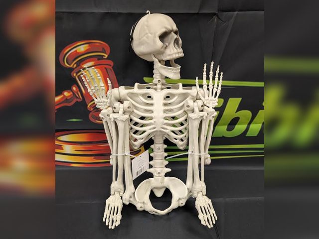 Lot 112-0555-31C-1 - Hanging Skeleton. 36" long. New.