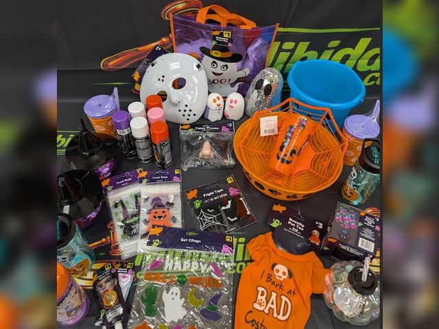 Lot 112-0563-31C-1 - Lot of assorted Halloween merchandise. All brand new. MSRP $50+. See pictures for reference.