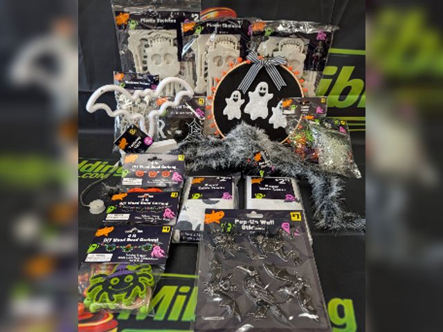 Lot 112-0519-23B-1 - Assorted Halloween lot. Includes (3) plastic hanging skeletons, (2) packs of assorted spider rings, ...