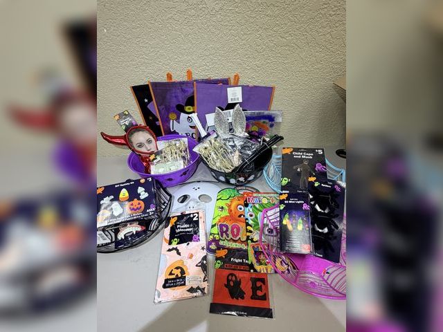 Lot 112-0537-33c1 - Assorted Halloween lot $50+ MSRP all new items.