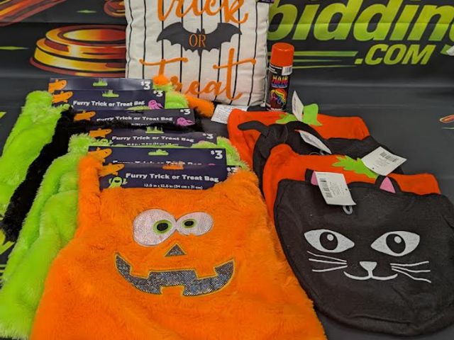 Lot 112-0566-31C-1 - Lot of assorted Halloween merchandise. All brand new. MSRP $25+. See picture for reference.