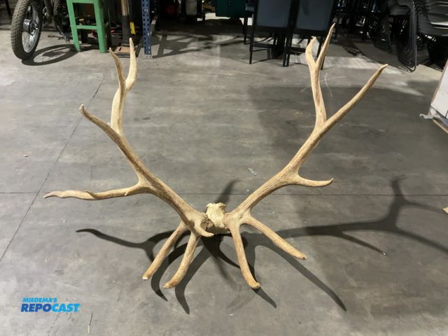 Lot 2-55778 - 9x6 Miscellaneous Elk Rack Mount(DOBSON)