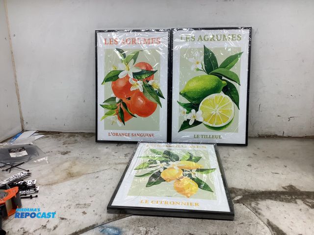 Lot 2-19824 - Lot of (3) fruit picture frames approx. 16”x24”