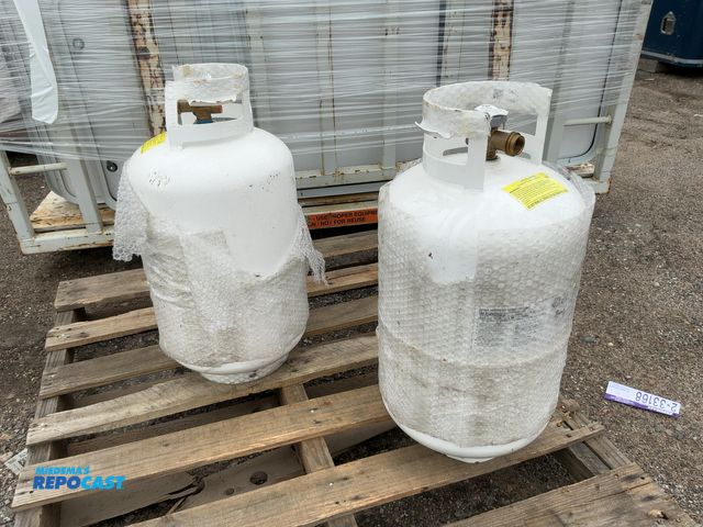 Lot 2-33990 - (2) 30lb Propane Tanks