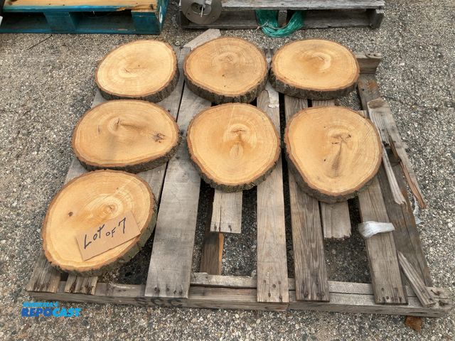 Lot 2-11224 - (7) wood cookies - approx. 2" - 2-1/2" thick x 13"dia.
