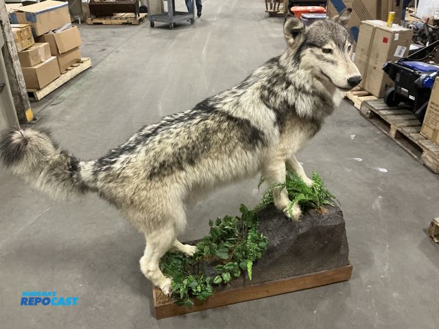 Lot 2-63373 - Full body Wolf statue on wood block with fake plants by the legs stands about 47 in tall