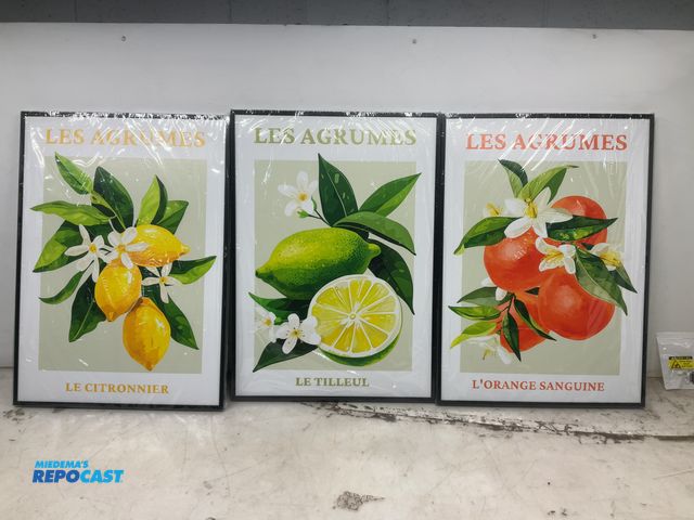 Lot 2-92793 - Set of (3) wall art pictures, 20” x 28”