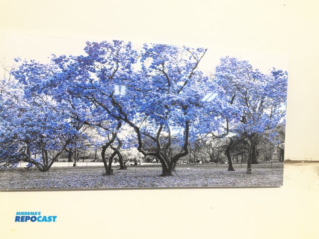 Lot 2-92727 - 20x40 Blue Tree Canvas Wall Art