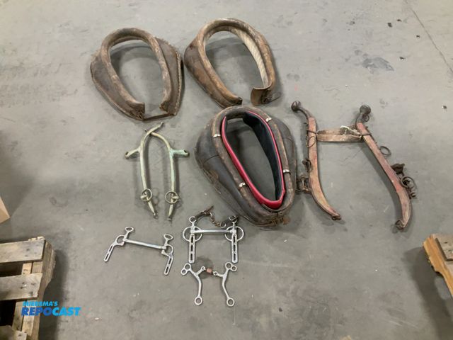 Lot 2-19372 - Lot of assorted horse tack