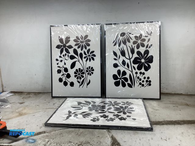 Lot 2-19823 - Lot of (3) black and white flower picture frames approx. 20”x28”