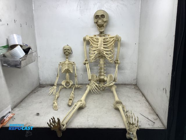 Lot 2-65701 - Human Posable Skeleton set of 2 &amp; SCS-SKEL-941