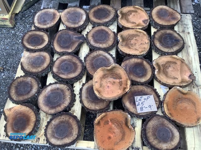 Lot 2-27372 - lot of 25 walnut wood cookies, 1 1/2" thick x 8"-9" dia