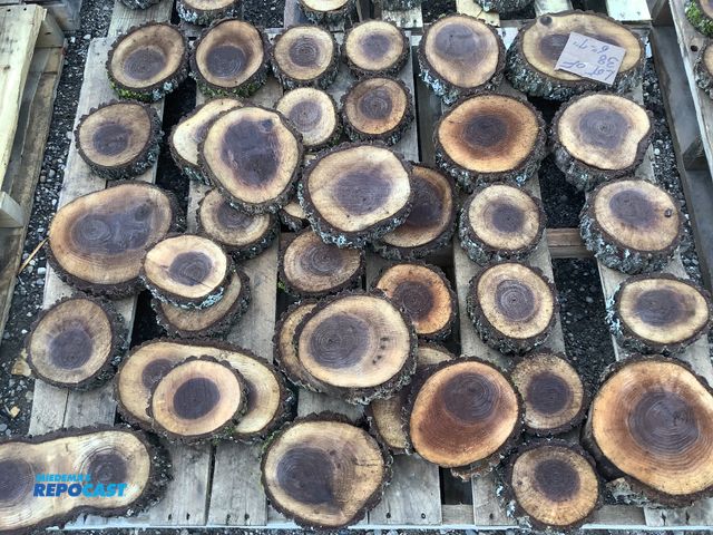 Lot 2-27373 - lot of 38 wood cookies, 1"-2" thick x 6"-7" dia