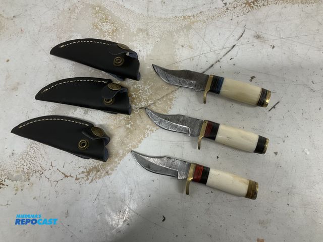 Lot 2-92349 - Lot of (3) Collectible 3” Blade Skinner Knives