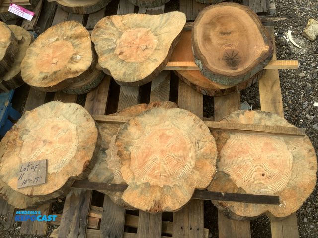 Lot 2-27376 - lot of 11 wood cookies, 1"-2" thick x 10"-19" dia, cherry, oak, pine