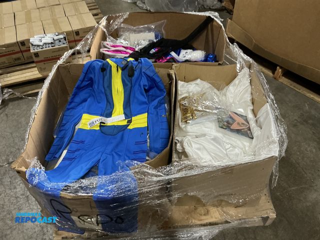 Lot 2-69574 - Skid of Assorted Halloween Costumes, including Greek Costumes, Bunny, Elf, and more