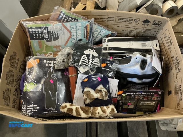Lot 2-33278 - Large box of asst. New Halloween Dollar General Merchandise