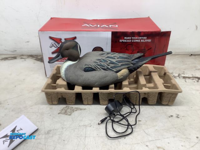 Lot 2-15660 - New Avion Power swimmer pintail drake Duck decoy