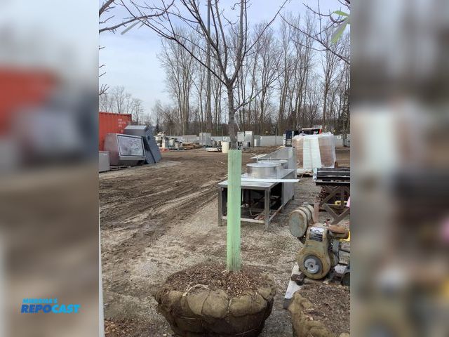 Lot 2-92539 - 1 Trees 1 caliper tree approximately 10’ tall and basket around roots about 33” wide. Brandywine-map...