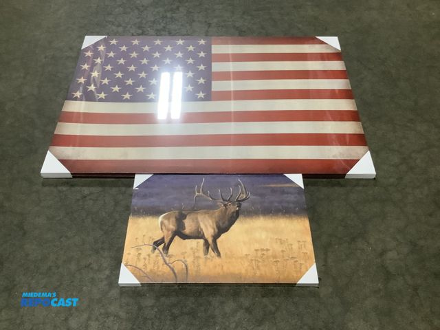 Lot 2-35052 - Lot of (2) Various Canvas Pictures, (1) 36” x 24” and (1) 18” x 12”