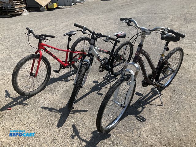 Lot 2-99800 - (1) Schwab clear creek bike - purple (1) trek alpha bike - red white and black (1) trek precaliber b...