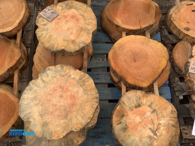 Lot 2-27374 - lot of 14 wood cookies, 2" thick x 15"-19" dia, cherry, oak, pine
