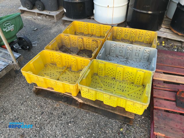 Lot 2-33234 - 6 plastic farm grape and blueberry lugs